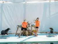 Team Building 2023
