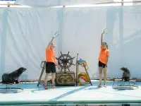 Team Building 2023
