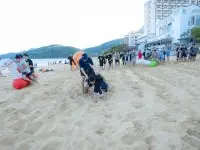 Team Building 2023